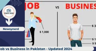 Job vs Business